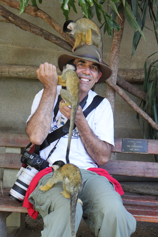 bob with monkeys